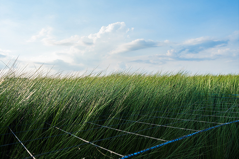 A field of Igusa