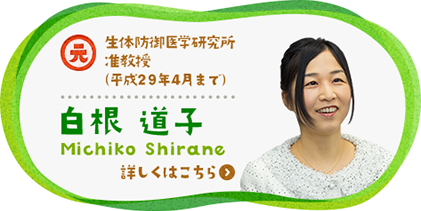 元 生体防御医学研究所 准教授 （平成29年4月まで） 白根 道子