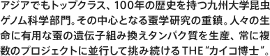 アジアでもトップクラス、100年の歴史を持つ九州大学昆虫ゲノム科学部門。その中心となる蚕学研究の重鎮。人々の生命に有用な蚕の遺伝子組み換えタンパク質を生産、常に複数のプロジェクトに並行して挑み続けるTHE“カイコ博士”。