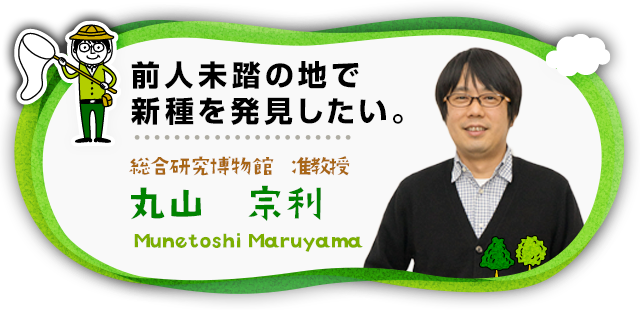 前人未踏の地で新種を発見したい。 総合研究博物館 准教授 丸山 宗利