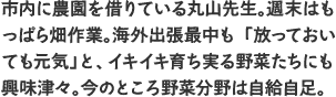 市内に農園を借りている丸山先生。週末はもっぱら畑作業。海外出張最中も「放っておいても元気」と、イキイキ育ち実る野菜たちにも興味津々。今のところ野菜分野は自給自足。