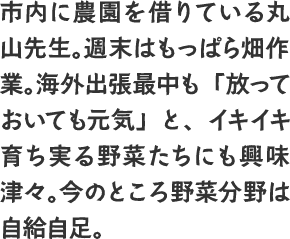 市内に農園を借りている丸山先生。週末はもっぱら畑作業。海外出張最中も「放っておいても元気」と、イキイキ育ち実る野菜たちにも興味津々。今のところ野菜分野は自給自足。