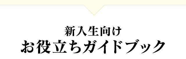 �V�����������𗧂��K�C�h�u�b�N