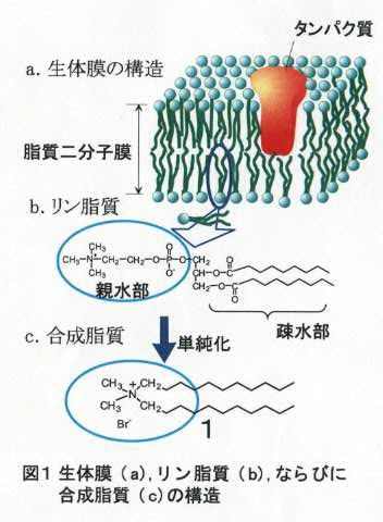 九大広報創刊号