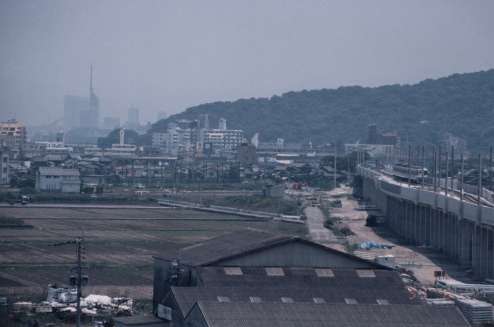 �V�w���\�肳���͎̂ʐ^�̒��ō��˂̖c��񂾕���