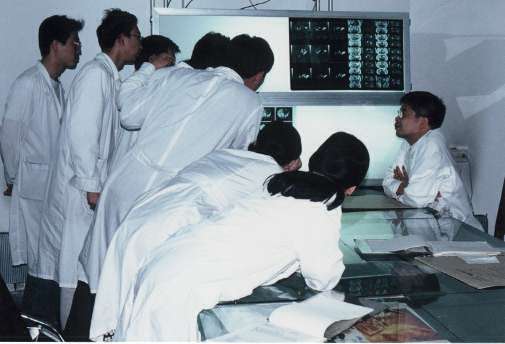 �ʐ^�S�F�M�҉E�[